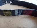 8PK1070 V-Belt (Howo/Sino)