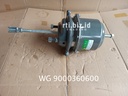 WG9000360600 Spring Air Brake Chamber (Howo/Sino)