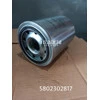 5802302817 Engine Oil Filter (Iveco - SFH/Genlyon)
