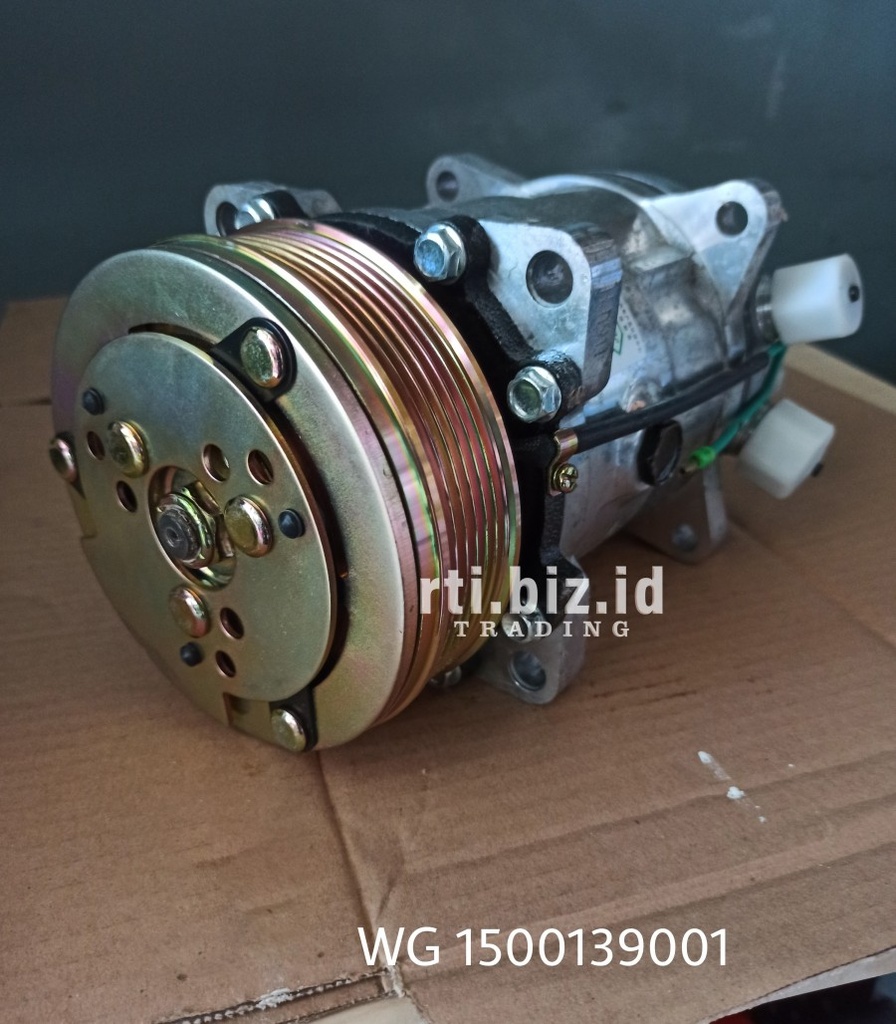 WG1500139001 AC Compressor (Howo/Sino)