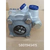 5801928987/5801943415/5801482164 Oil Steering Pump (41211093) (iveco)