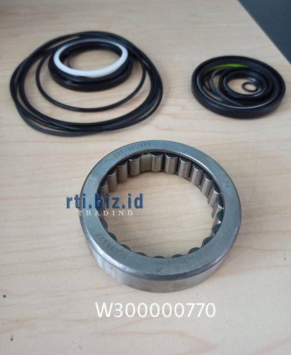 W300000770 Kit Seal Steering Or Repair Kits (Iveco)